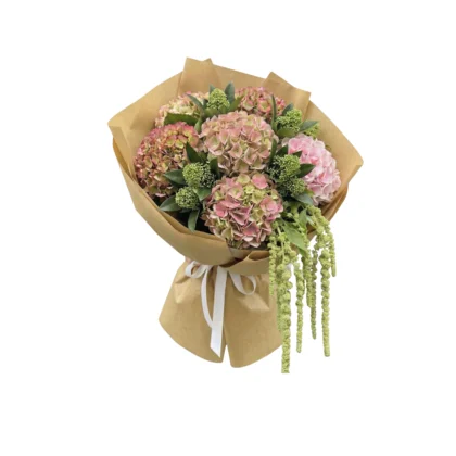 Elegant Hydrangea Blend