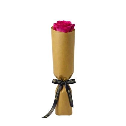 Opulent Single Rose