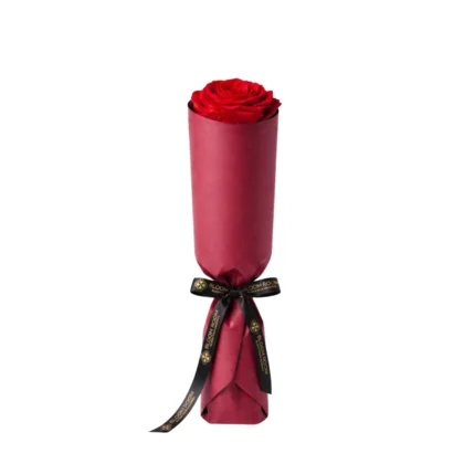 Opulent Single Rose