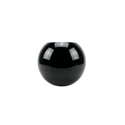 Black Fish Bowl